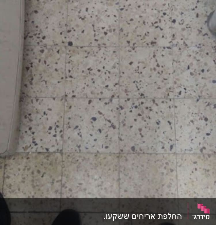 החלק הבהיר הוא ריצוף חדש